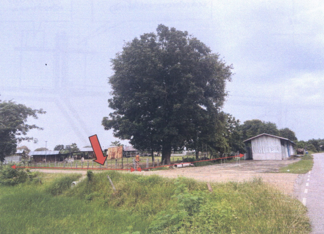 Residential land/lot Khon Kaen Nong Song Hong Takua Pa 122050