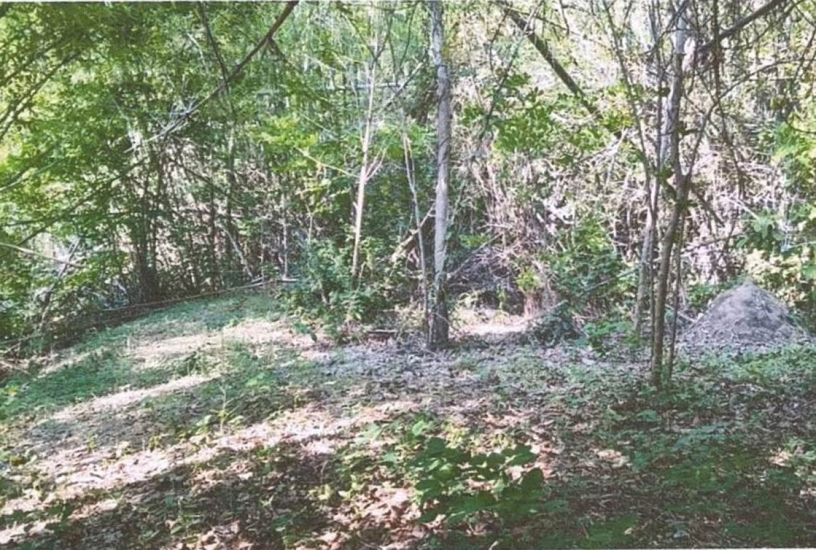 Residential land/lot Khon Kaen Phu Wiang Phu Wiang 143715
