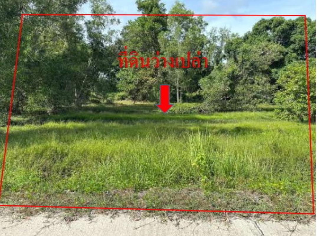 Residential land/lot Nakhon Si Thammarat Tha Sala Tha Sala 338300