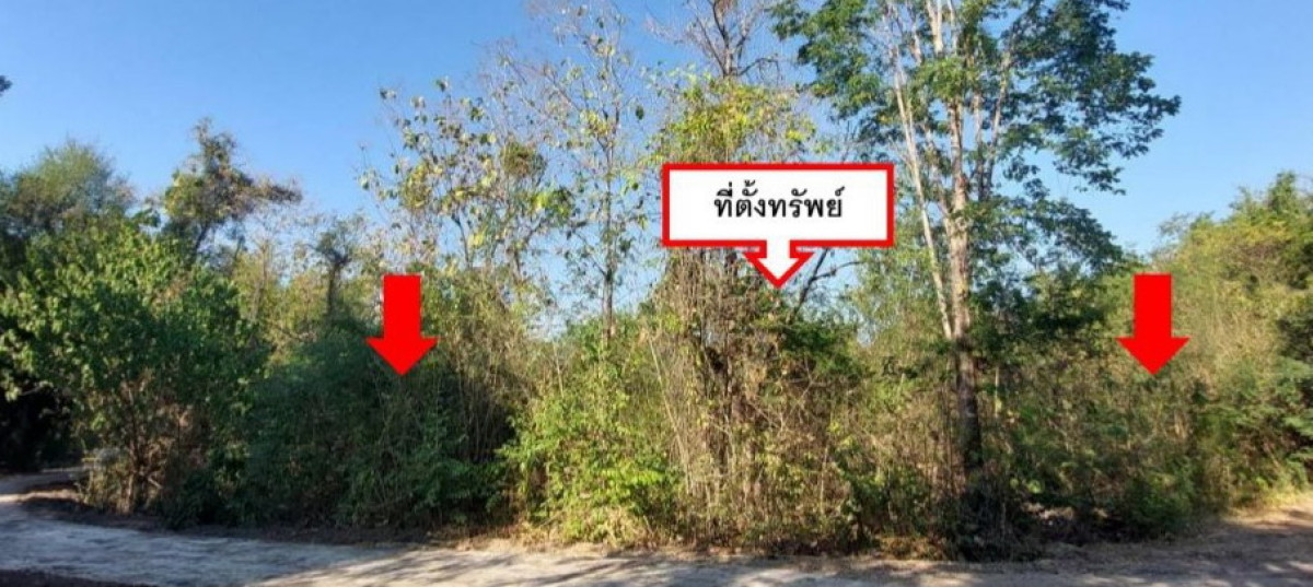 Residential land/lot Tak Mueang Tak Nong Bua Tai 153150