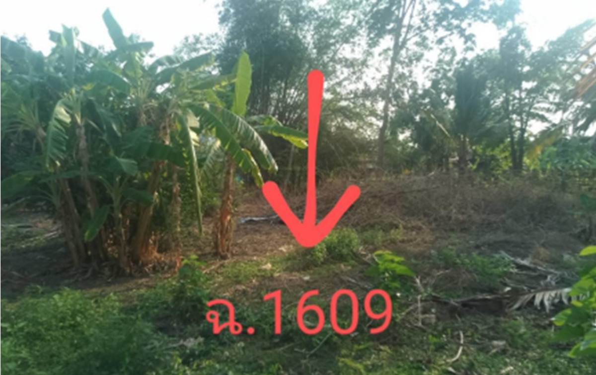 ที่ดินเปล่า ขอนแก่น แวงใหญ่ แวงใหญ่ 24800