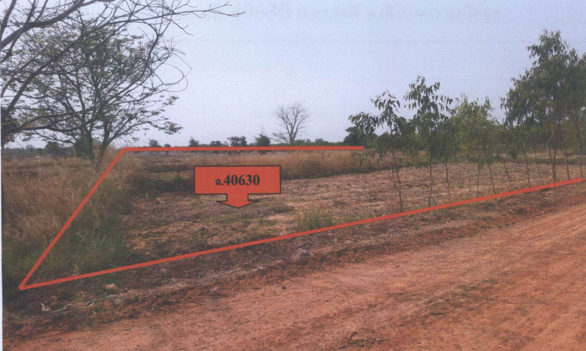 Residential land/lot Yasothon Loeng Nok Tha Samakkhi 571200