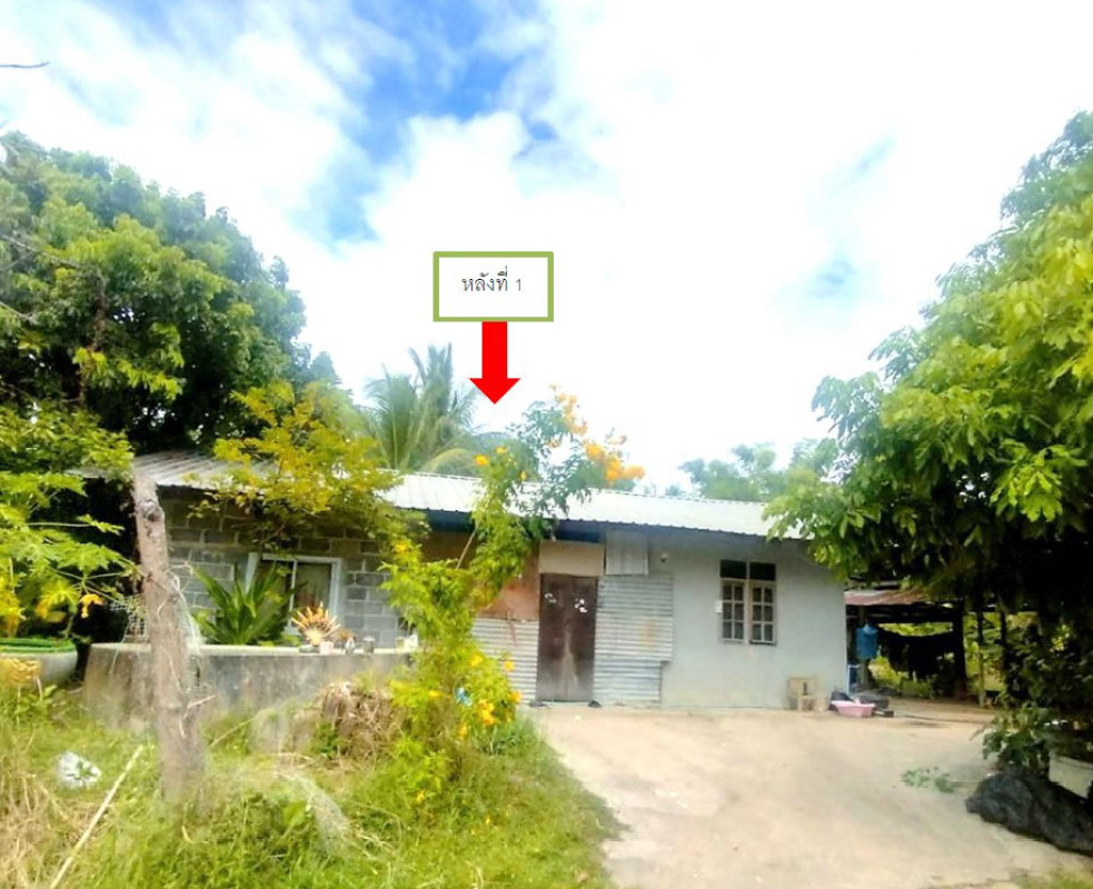 บ้านเดี่ยว ยโสธร เลิงนกทา สามแยก 447840
