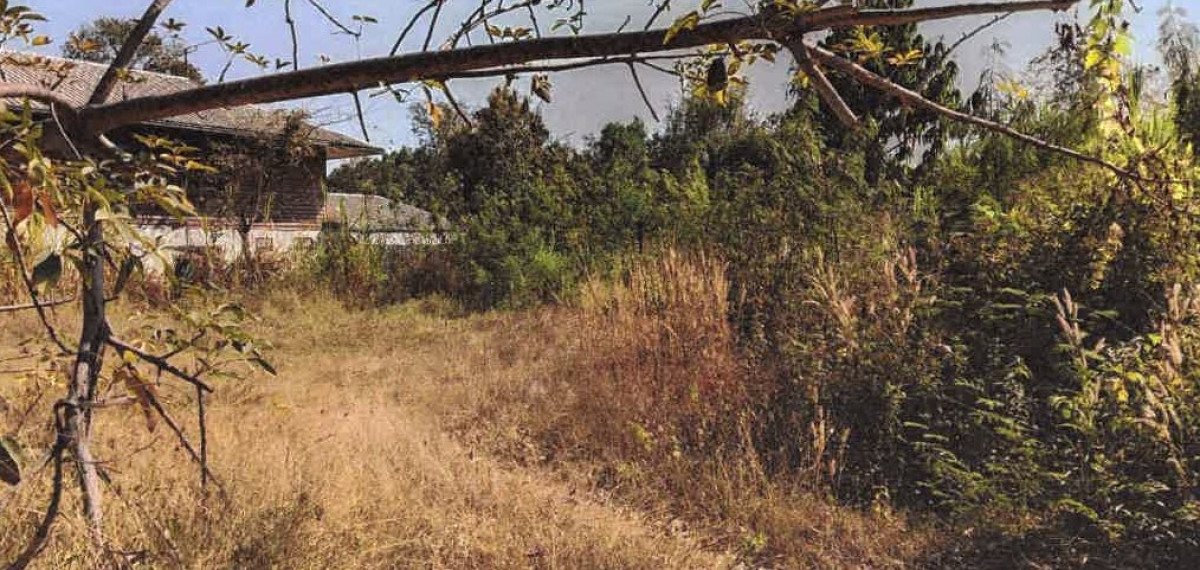 Residential land/lot Maha Sarakham Kantharawichai Kham Thao Phatthana 170000