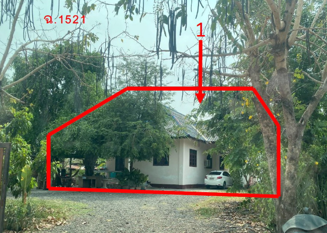 บ้านเดี่ยว บุรีรัมย์ พุทไธสง บ้านจาน 1100130