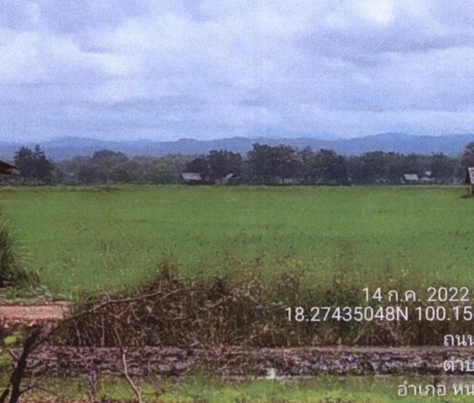 Residential land/lot Phrae Nong Muang Khai Wang Luang 196480
