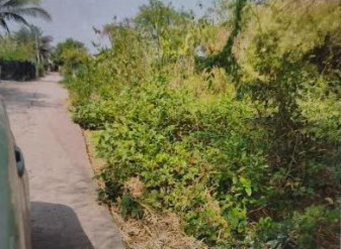 Residential land/lot Chaiyaphum Phu Khiao Ban Don 119460