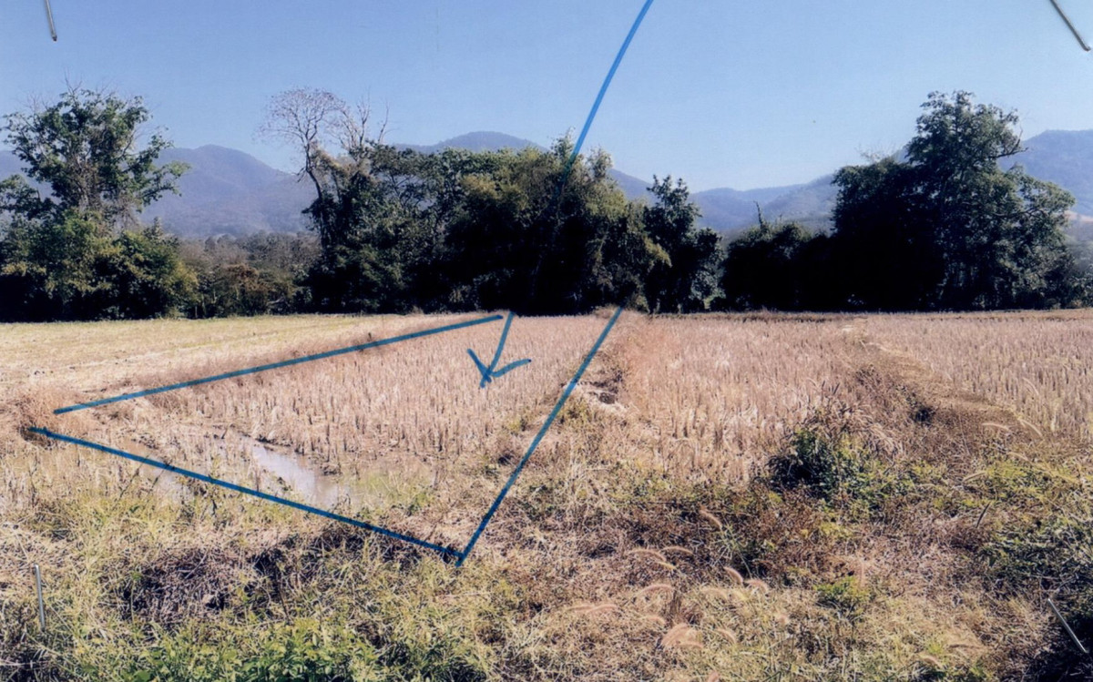 Residential land/lot Nan Ban Luang Ban Fa 22276