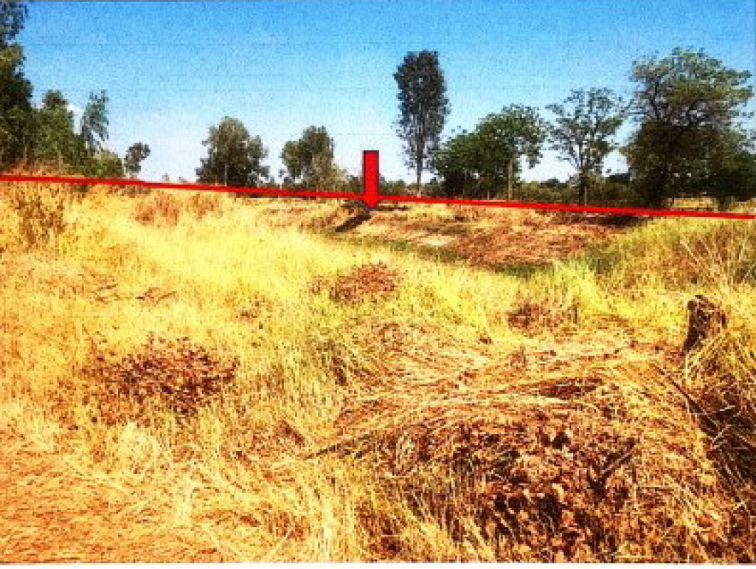 Residential land/lot Phichit Sak Lek Sak Lek 631610