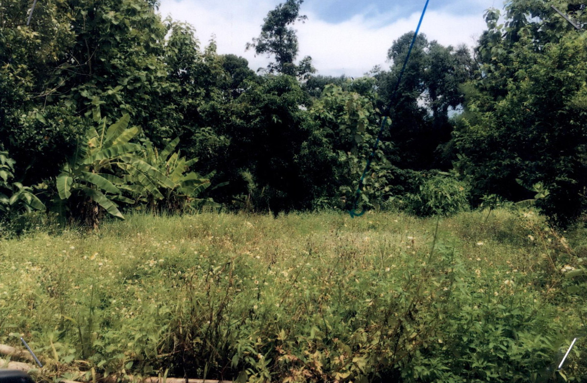 Residential land/lot Nan Pua Chai Watthana 59150