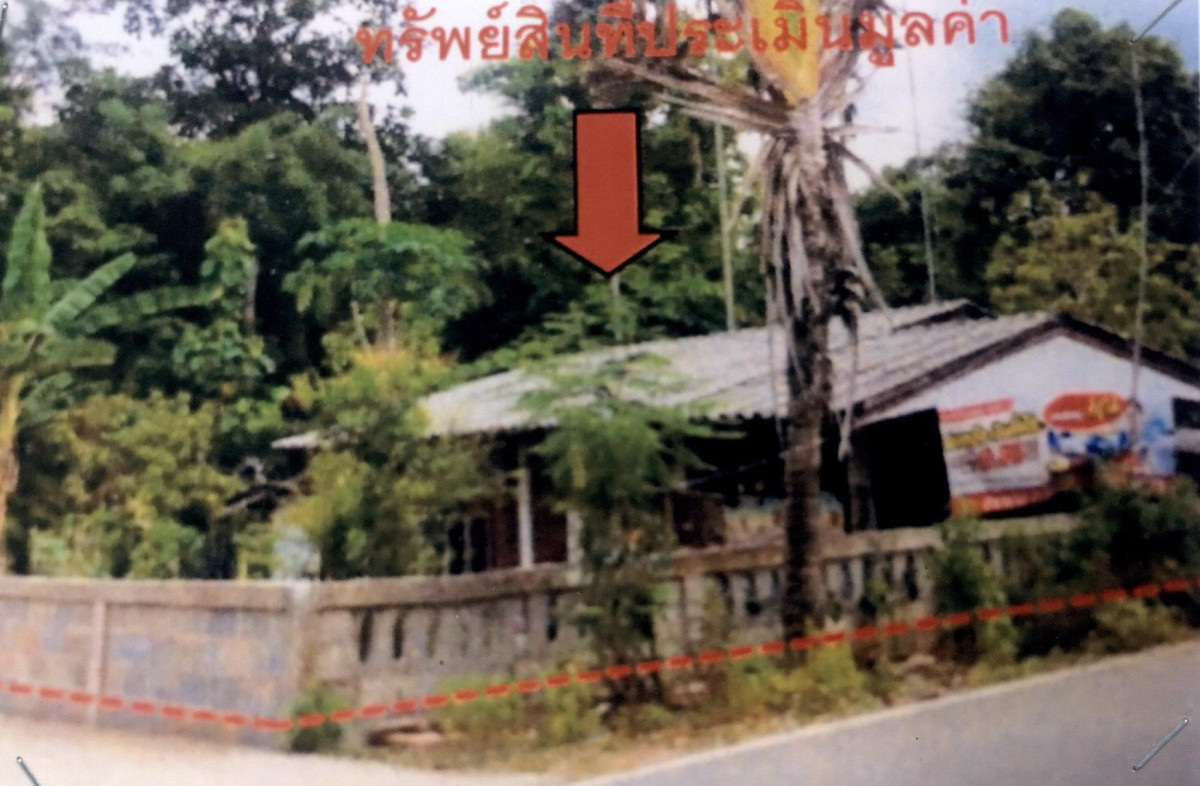 Single house Nan Pua Sila Phet 863724
