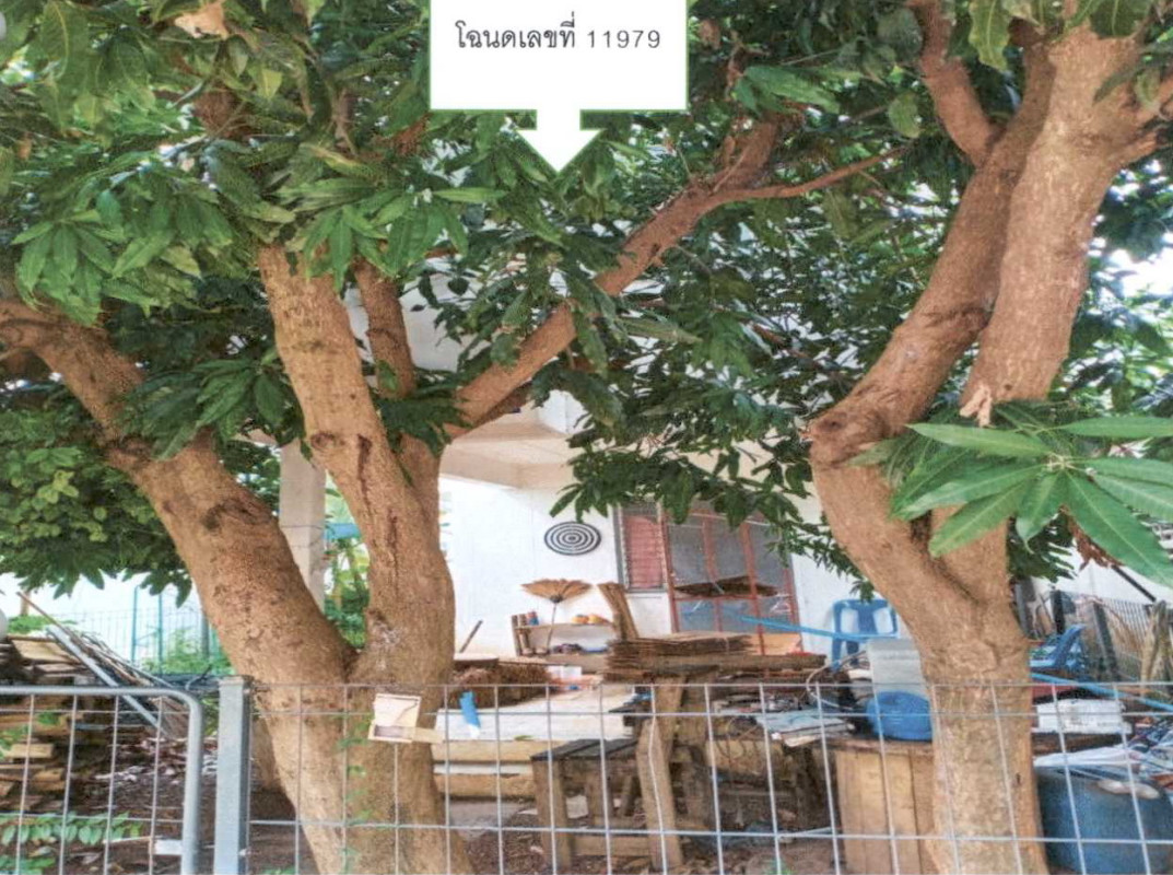 ทาวน์เฮ้าส์ บุรีรัมย์ หนองกี่ หนองกี่ 465016