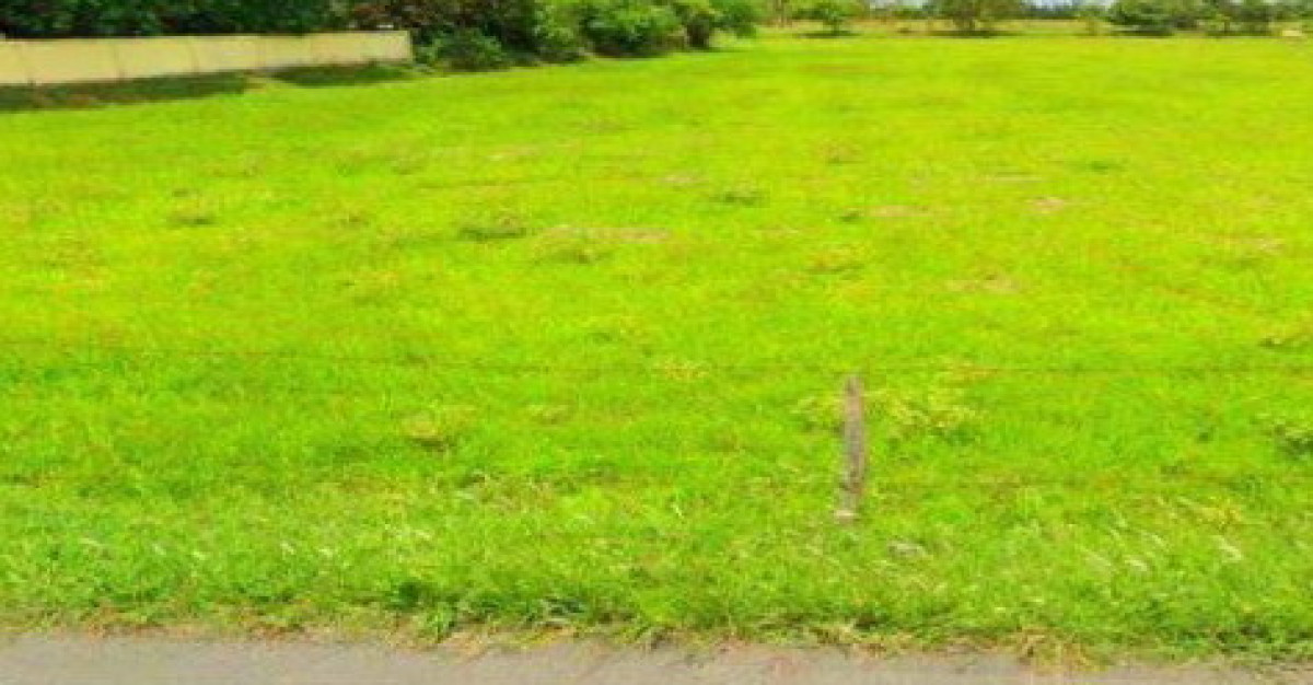 Residential land/lot Khon Kaen Phon Kao Ngio 1054150