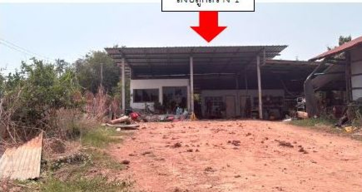 บ้านเดี่ยว พิษณุโลก เมืองพิษณุโลก บ้านป่า 3010380