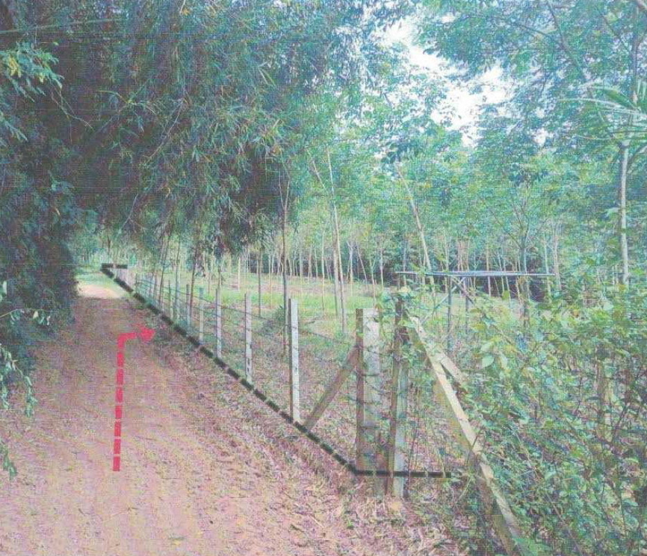 Residential land/lot Nakhon Si Thammarat Chulabhorn Khuan Nong Kwa 595600