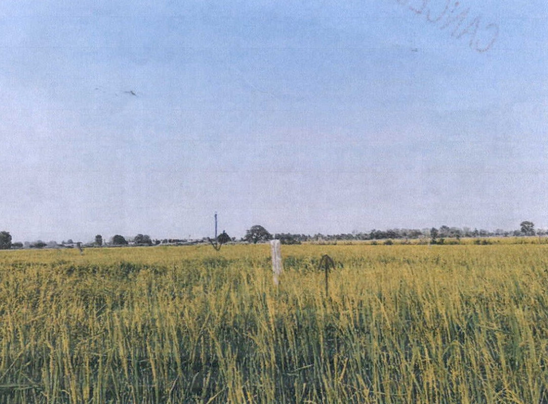 ที่ดินเปล่า พิษณุโลก เมืองพิษณุโลก สมอแข 220500