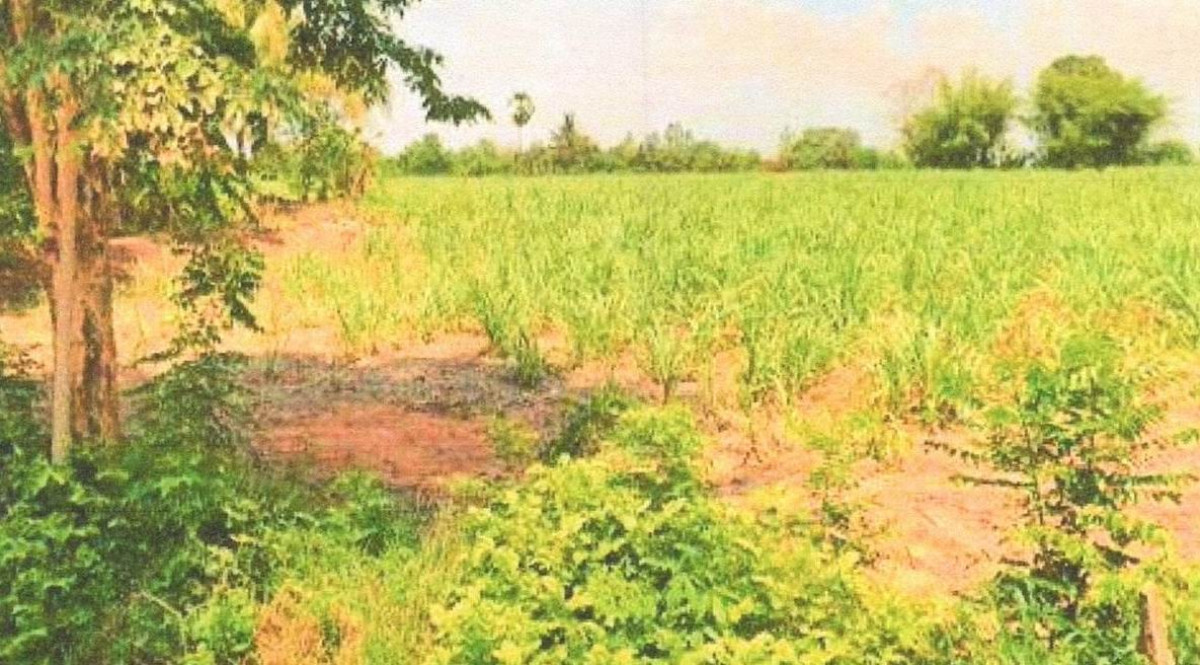 Residential land/lot Khon Kaen Nong Ruea Kut Kwang 50440
