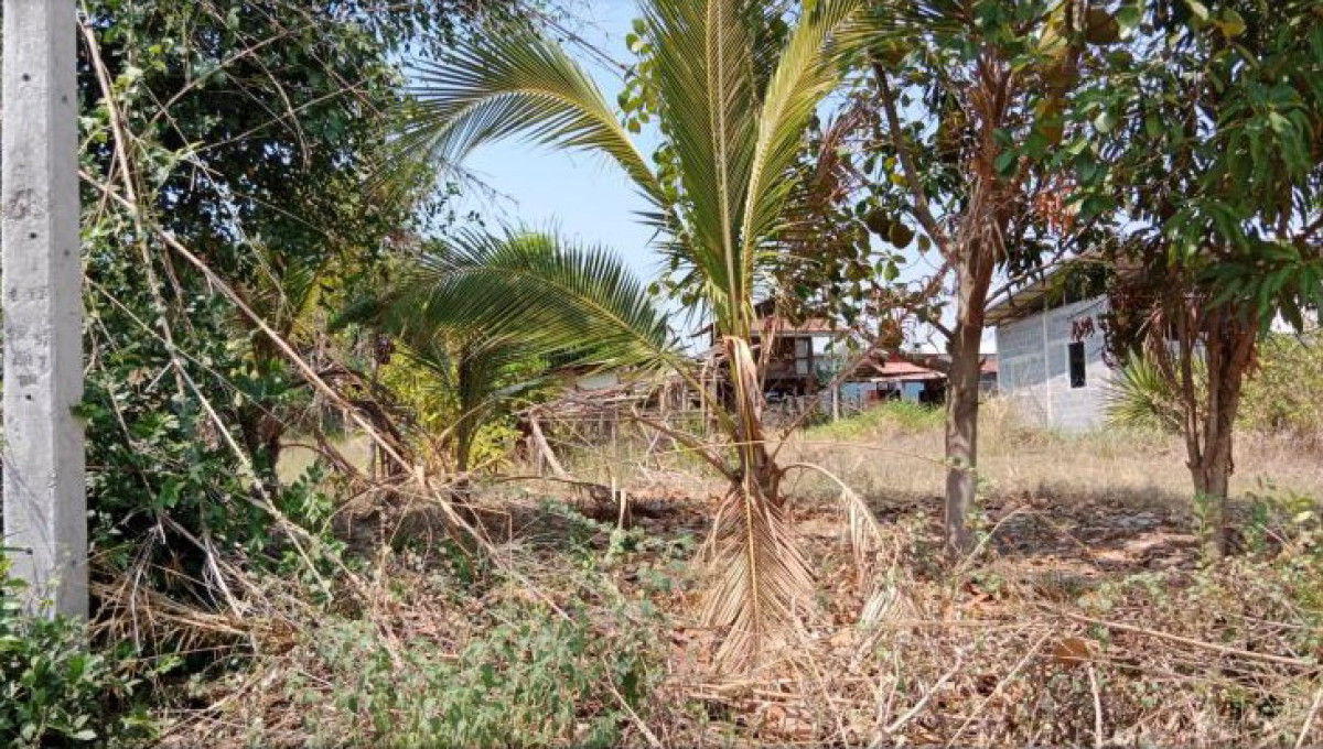ที่ดินเปล่า อุดรธานี กุมภวาปี ปะโค 300000