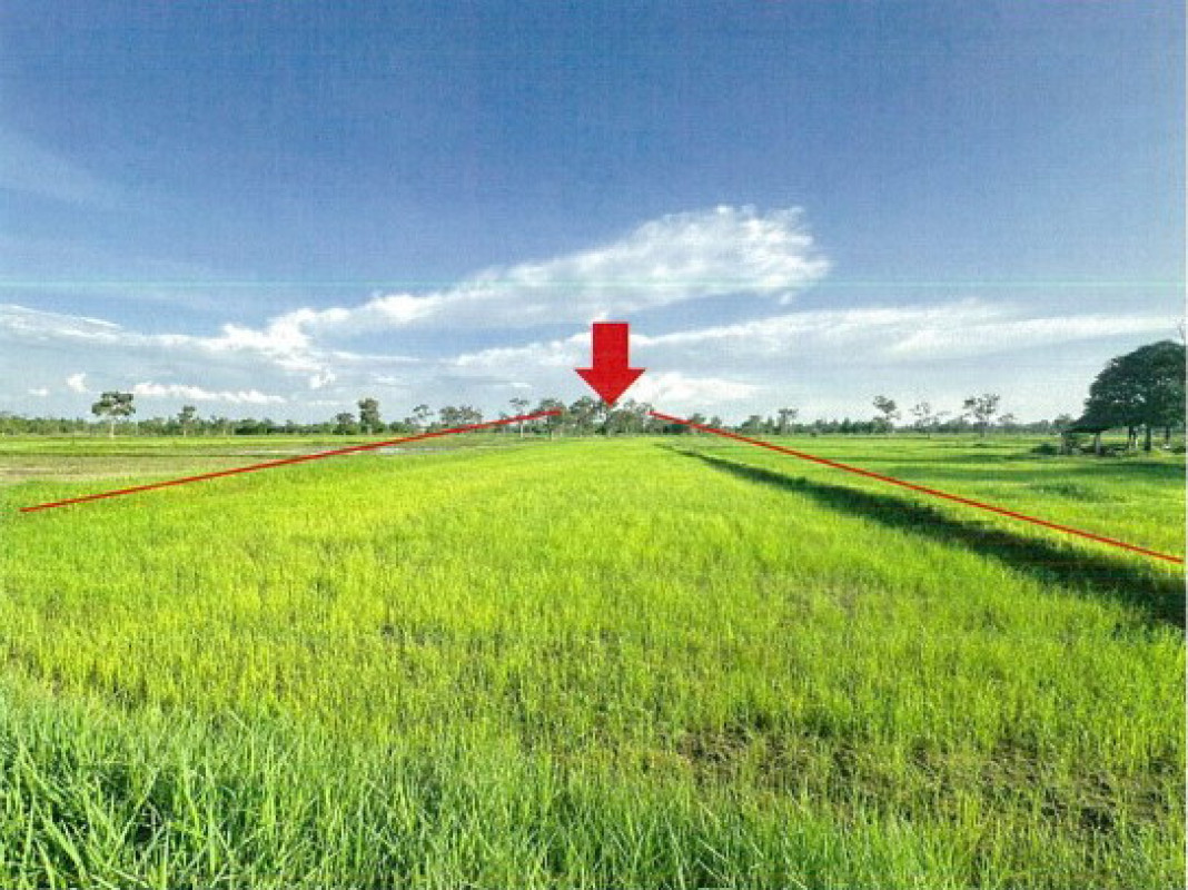 Residential land/lot Yasothon Mueang Yasothon Doet 300960