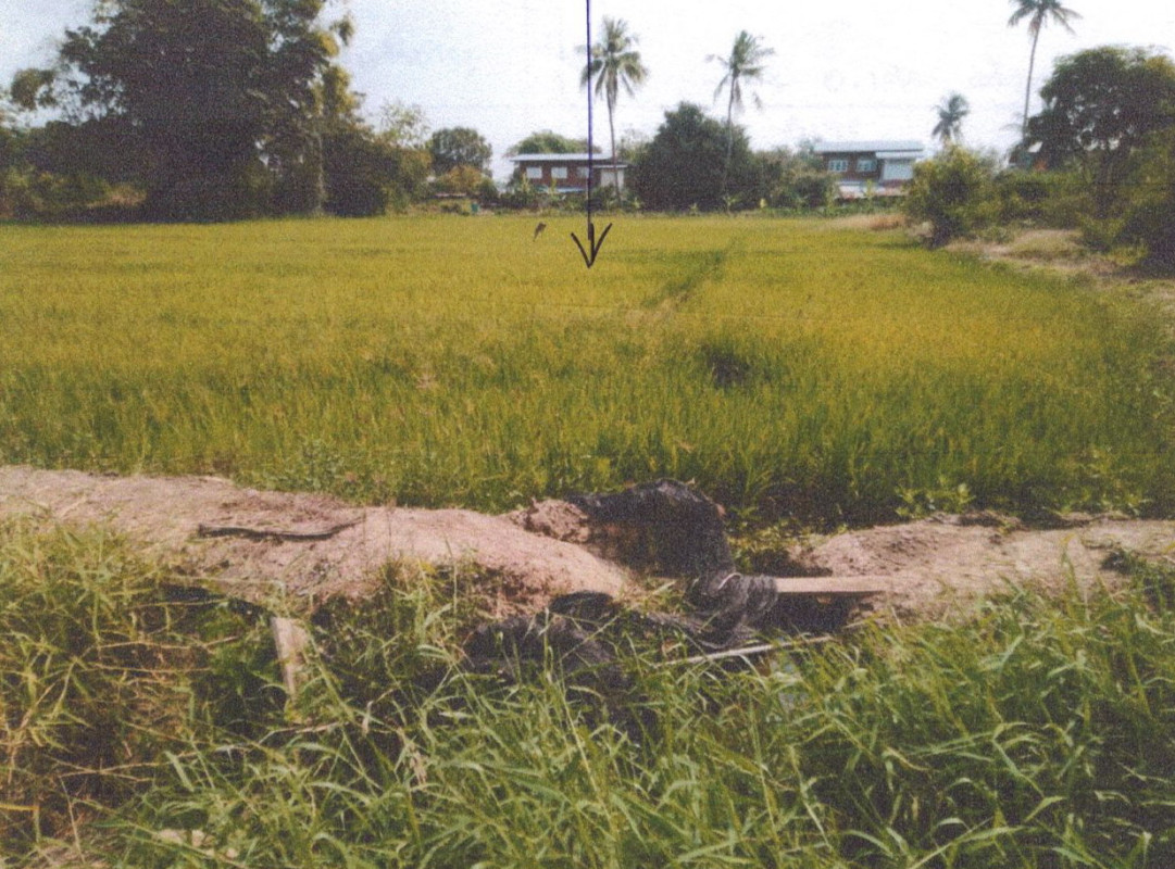 Residential land/lot Ang Thong Wiset Chai Chan Hua Taphan 60000