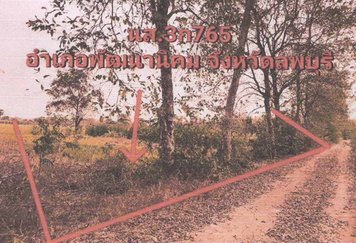 ที่ดินเปล่า ลพบุรี พัฒนานิคม พัฒนานิคม 312000