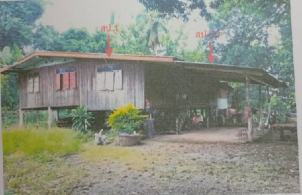 Single house Phetchabun Mueang Phetchabun Na Yom 700165