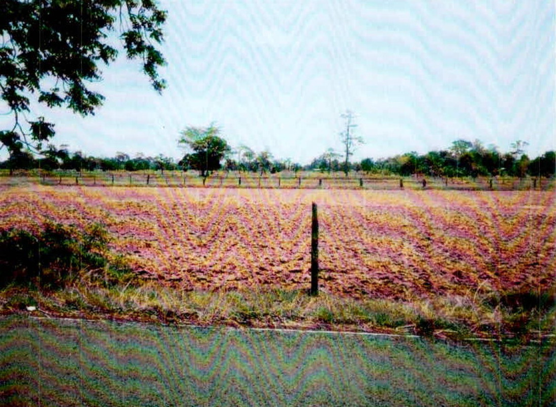 Residential land/lot Surin Kap Choeng Khu Tan 346880