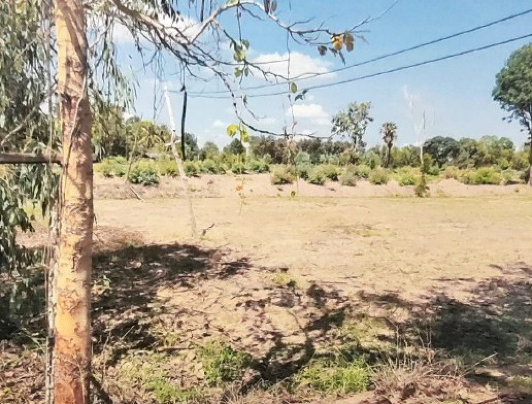 Residential land/lot Buri Ram Ban Mai Chaiyaphot Nong Waeng 1914080