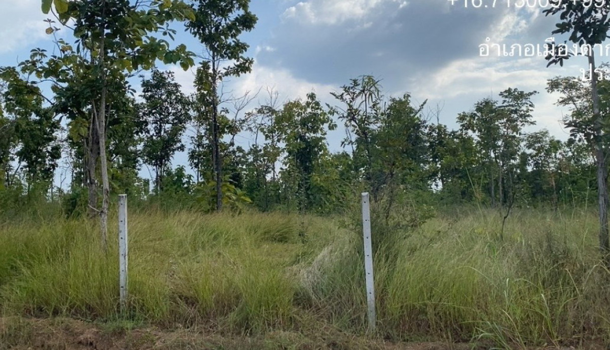 Residential land/lot Tak Mueang Tak Wang Hin 4641520