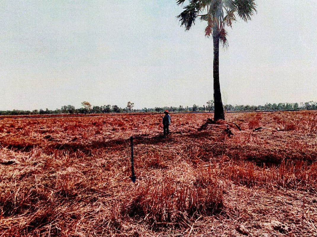 Residential land/lot Surin Sikhoraphum Nong Khwao 385400
