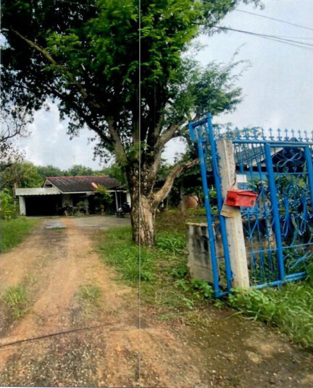 บ้านเดี่ยว ฉะเชิงเทรา แปลงยาว แปลงยาว 1394450