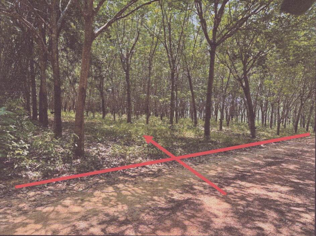 ที่ดินเปล่า มุกดาหาร ดงหลวง หนองบัว 747800