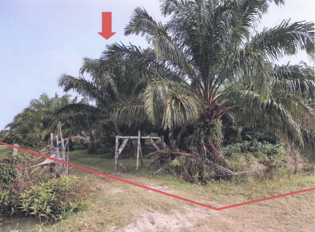 Residential land/lot Phatthalung Mueang Phatthalung Khuan Ma Phrao 255900