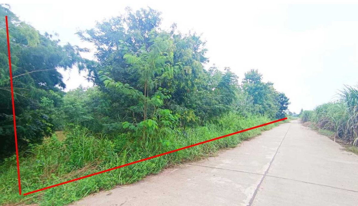 Residential land/lot Nong Bua Lam Phu Si Bun Rueang Kut Sathian 1333440