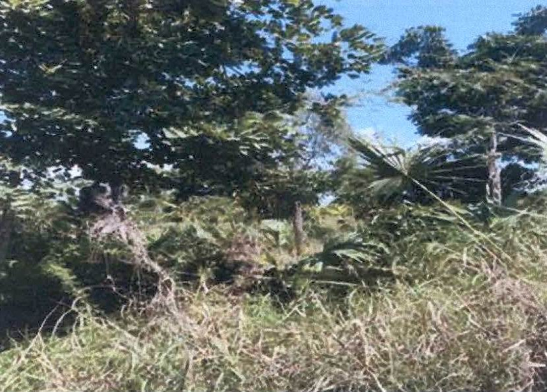 Residential land/lot Suphan Buri Mueang Suphan Buri Ban Pho 15000