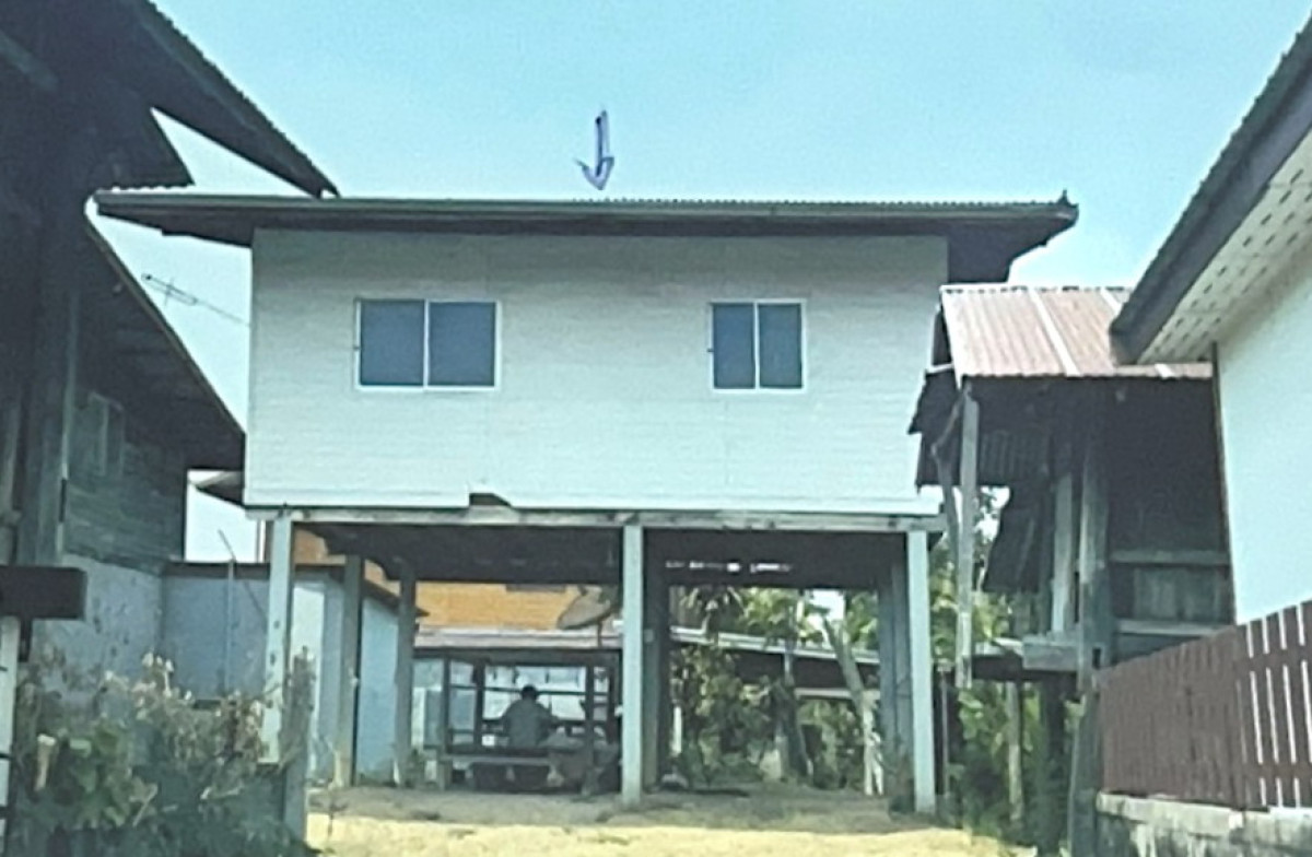 บ้านเดี่ยว มหาสารคาม นาเชือก หนองโพธิ์ 312480
