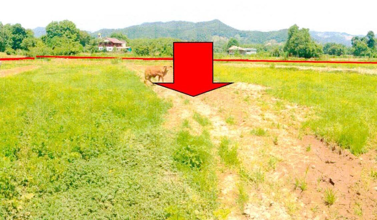 ที่ดินเปล่า น่าน เมืองน่าน สวก 223905