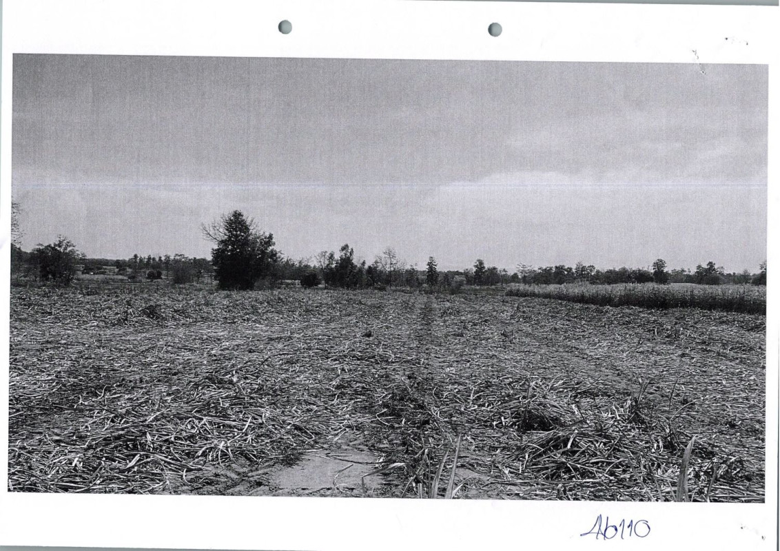 Residential land/lot Khon Kaen Phu Wiang Nong Kung Thanasan 308616