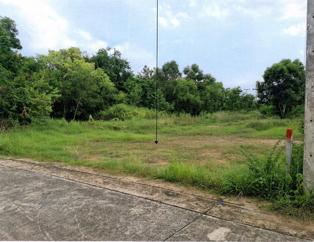 Residential land/lot Khon Kaen Nong Ruea Nong Ruea 404500