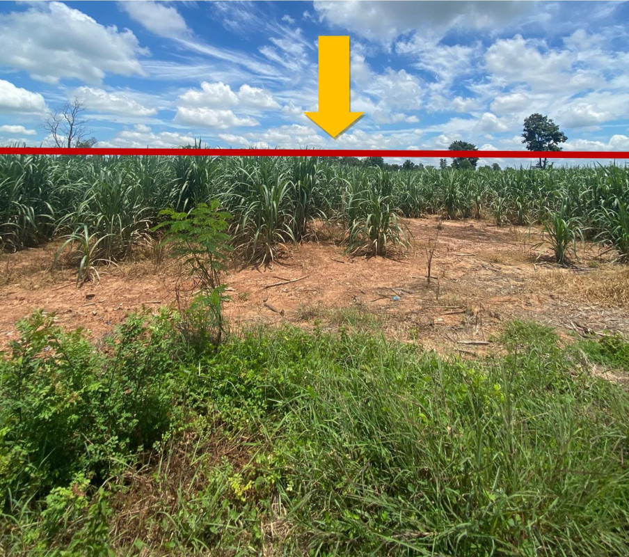 Residential land/lot Maha Sarakham Chuen Chom Kut Pla Duk 491000