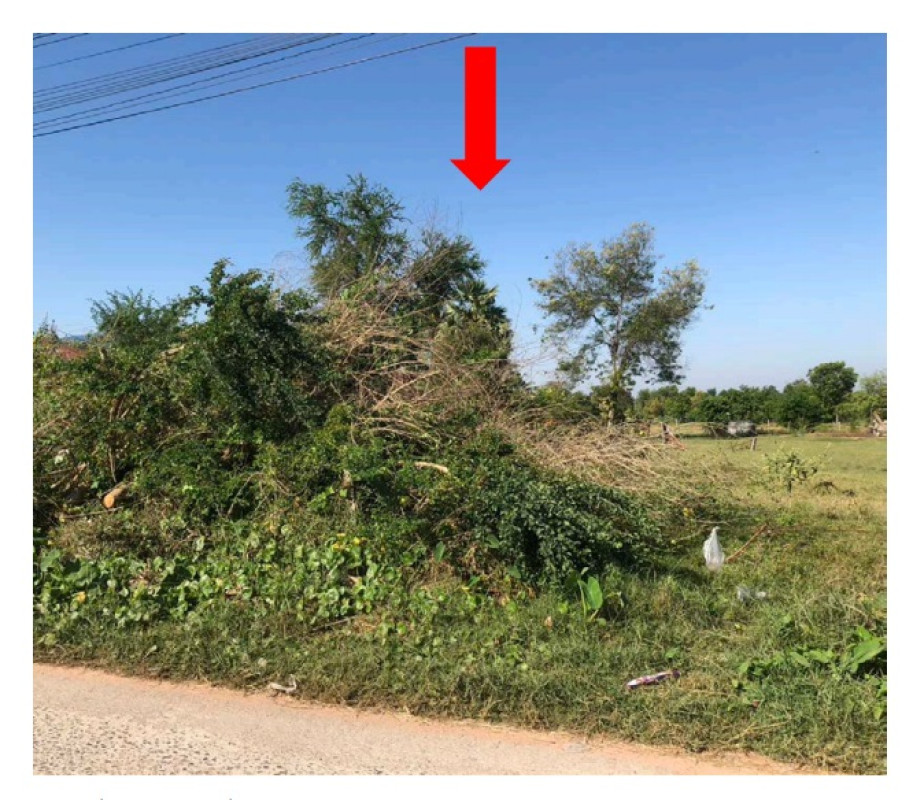 Residential land/lot Khon Kaen Non Sila Ban Han 67200