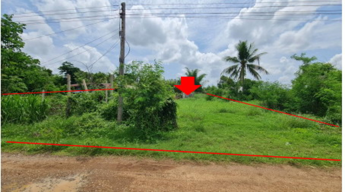 Residential land/lot Phetchabun Chon Daen Ban Kluai 73260