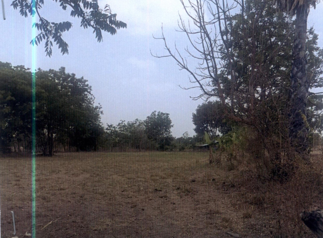 Residential land/lot Buri Ram Satuek Nong Yai 30375