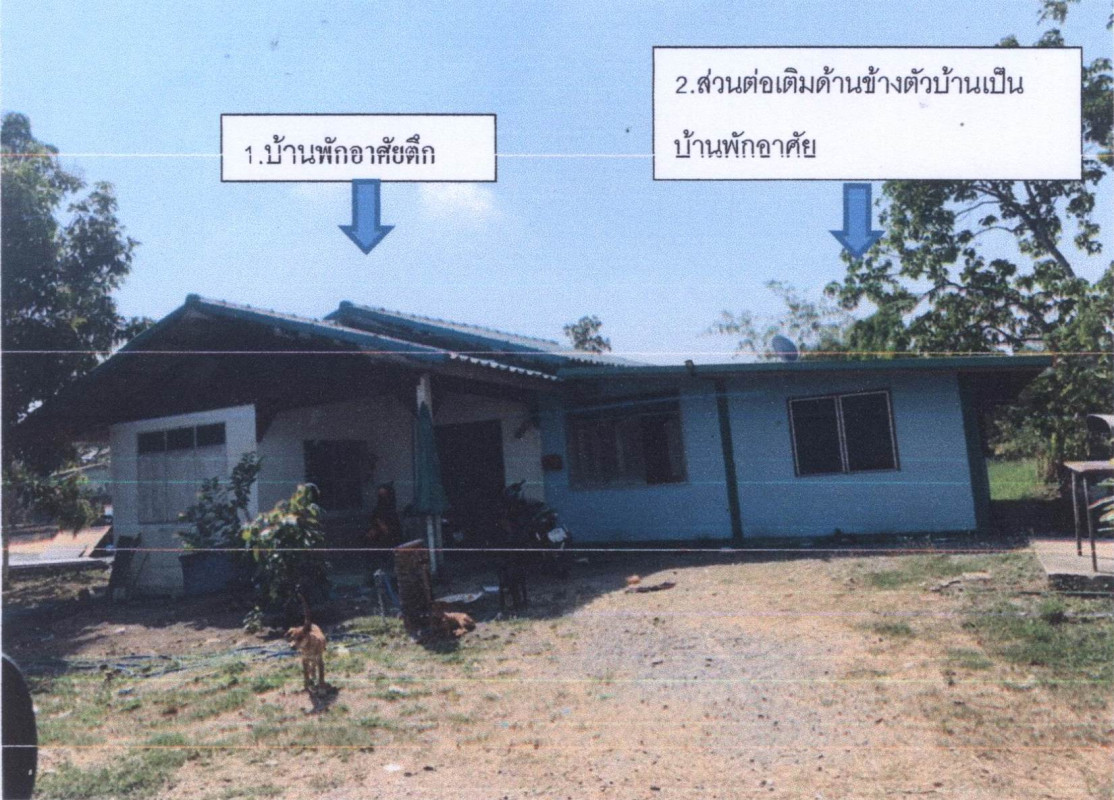 บ้านเดี่ยว พระนครศรีอยุธยา ภาชี โคกม่วง 916480