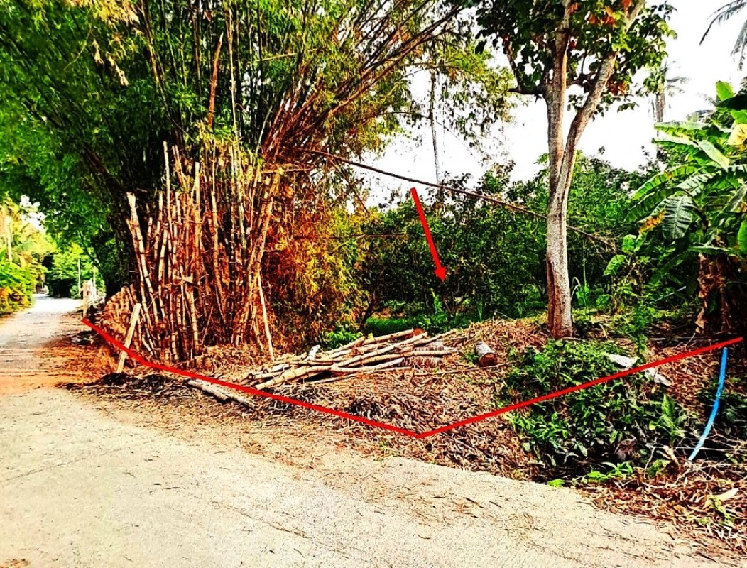 Residential land/lot Sing Buri Bang Rachan Pho Chon Kai 228540