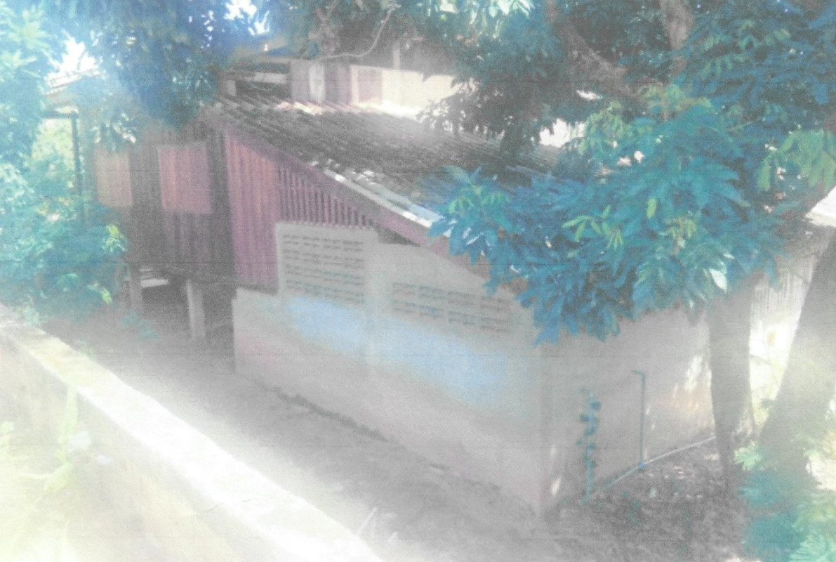 บ้านเดี่ยว เชียงราย เทิง ปล้อง 337500