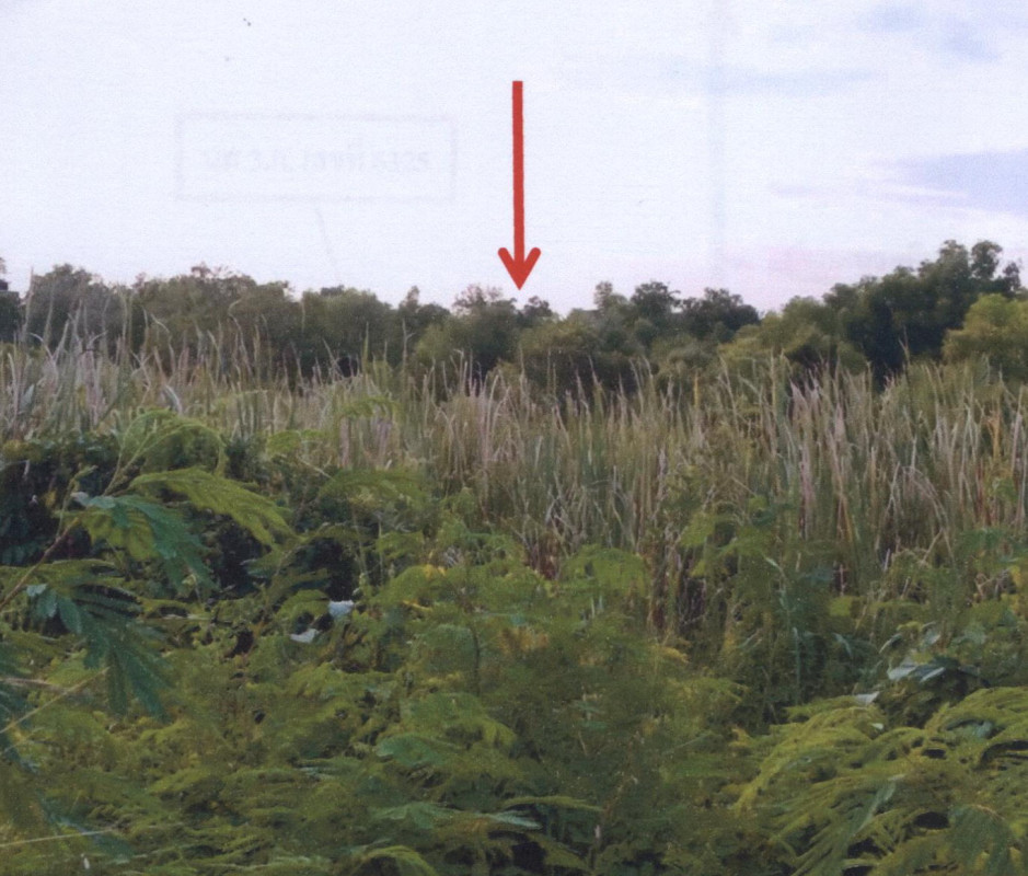 Residential land/lot Narathiwat Ra-ngae Tanyong Mat 293370