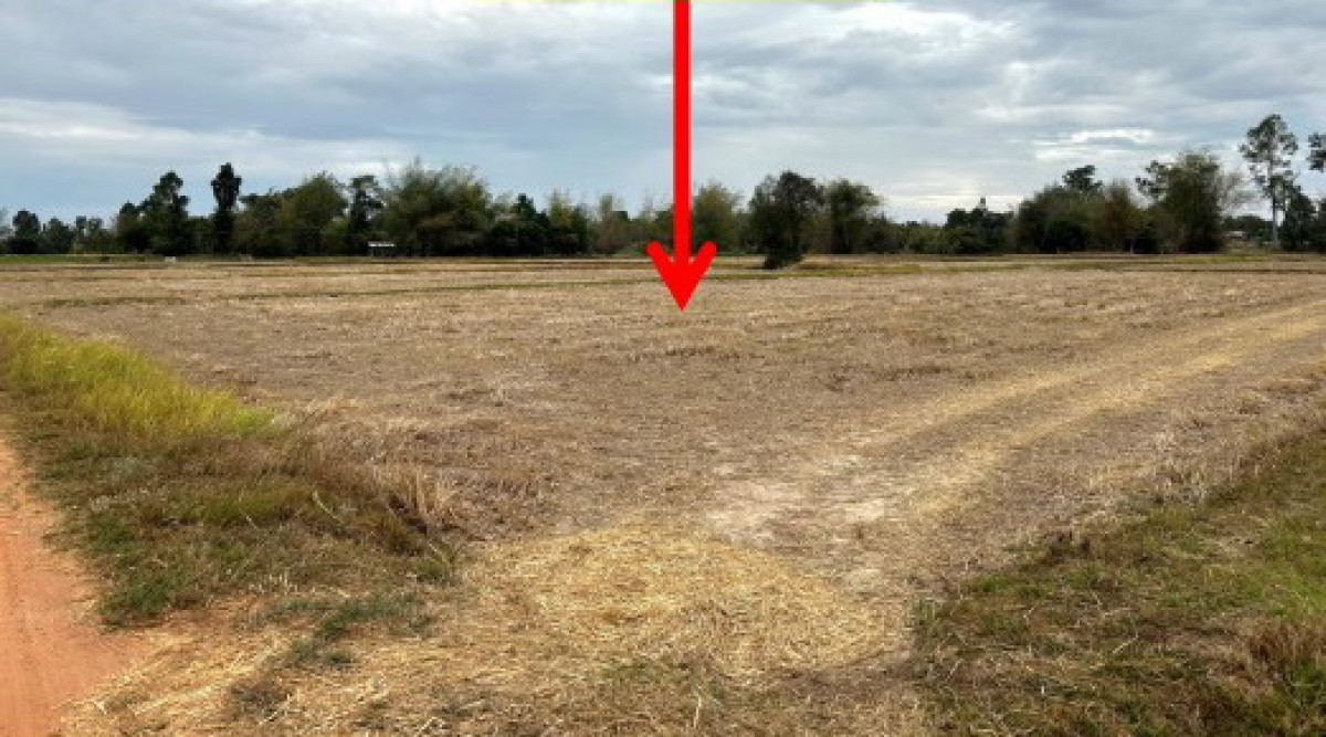 Residential land/lot Kalasin Huai Phueng Kham Bong 1667000