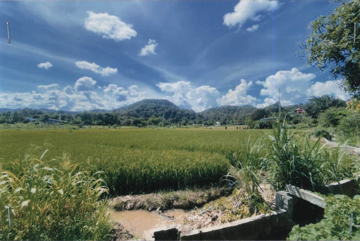 Residential land/lot Mae Hong Son Mae La Noi Mae La Noi 248000