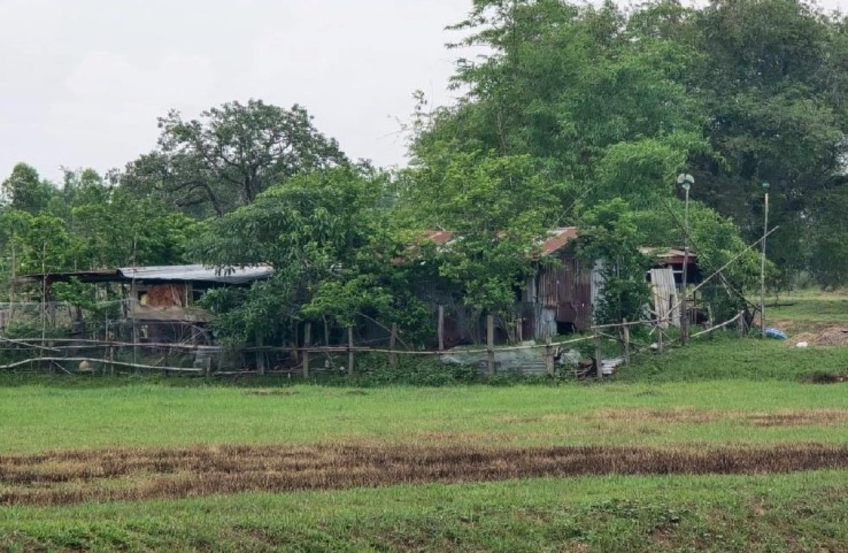 บ้านเดี่ยว มหาสารคาม วาปีปทุม นาข่า 1778000